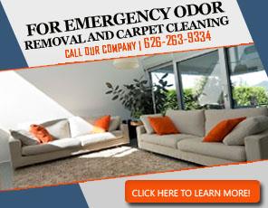 Carpet Stain Removal - Carpet Cleaning El Monte, CA